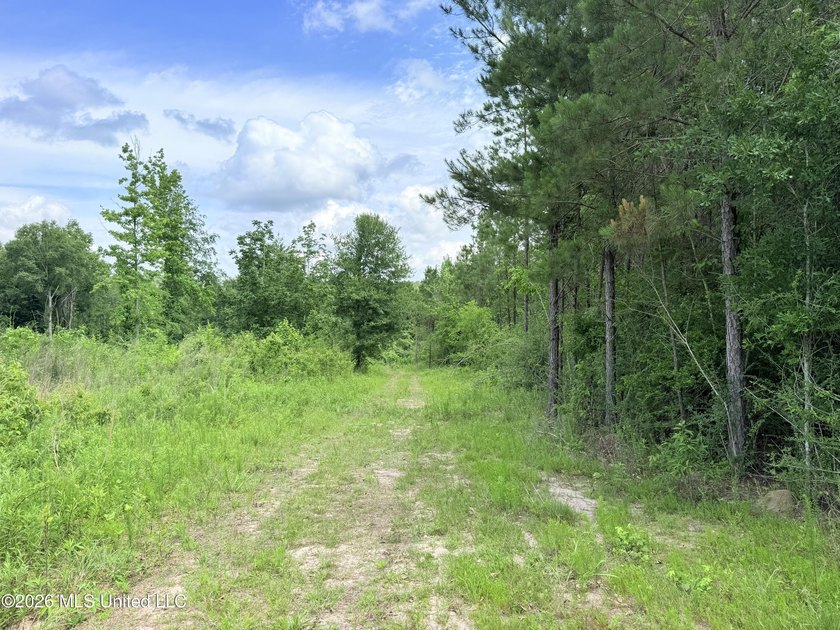This beautiful 53.3-acre property is located in Summit - photo 3