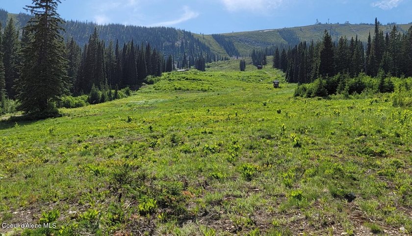 Welcome to Crystal View at Schweitzer! A truly unrivaled - photo 28