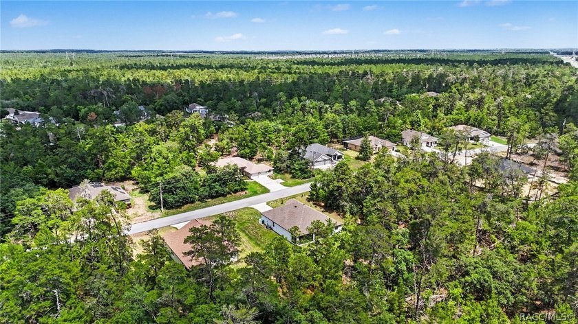 Experience the perfect blend of elegance, comfort, and Florida - photo 31