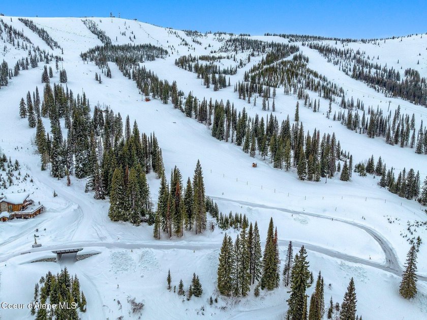 Welcome to Crystal View at Schweitzer! A truly unrivaled - photo 22