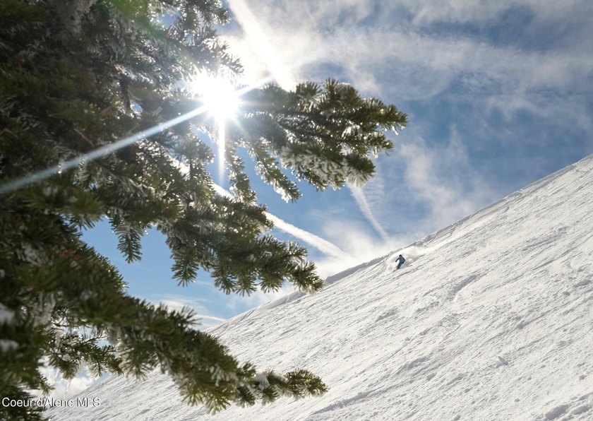 Welcome to Crystal View at Schweitzer! A truly unrivaled - photo 36