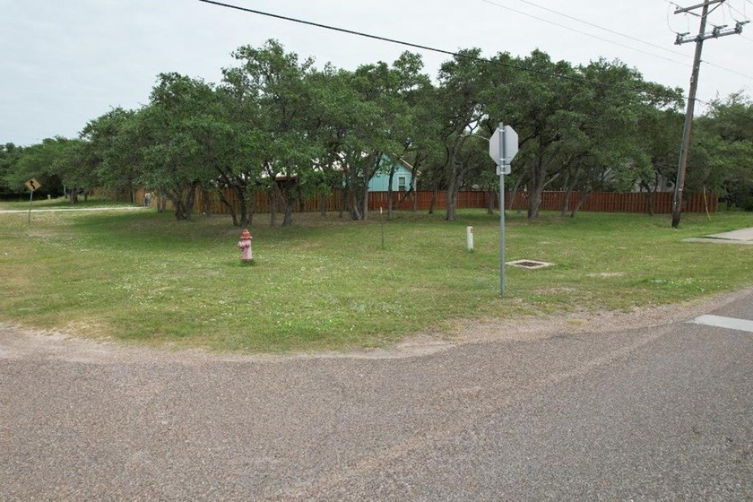 Oak tree covered lot with utilities already in place and ready - photo 6