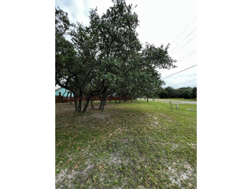 Oak tree covered lot with utilities already in place and ready - photo 7