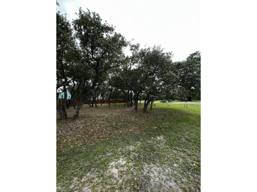 Oak tree covered lot with utilities already in place and ready - photo 8