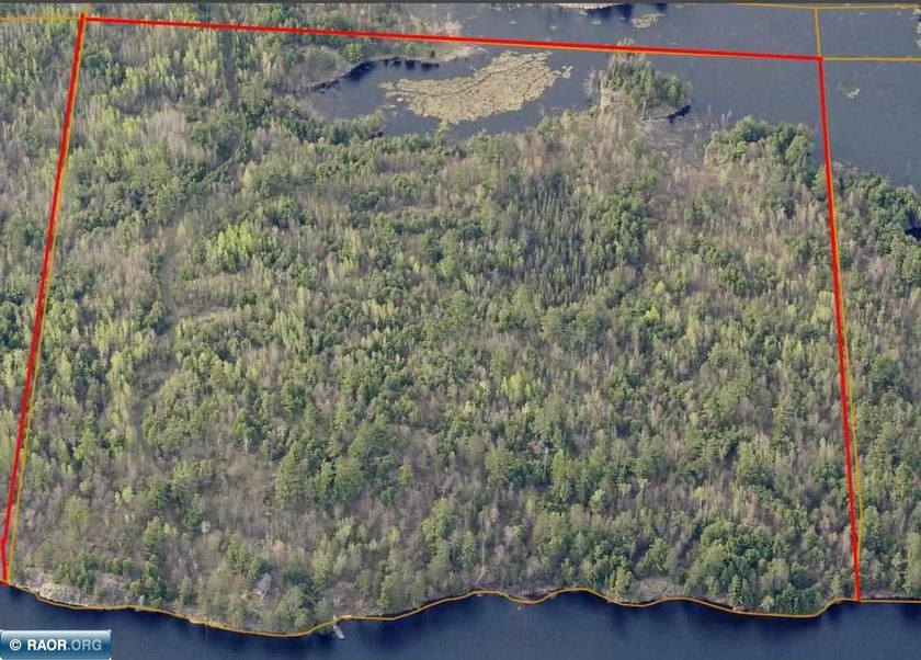 Rare opportunity to own 45 acres of mostly high-ground, classic - photo 2