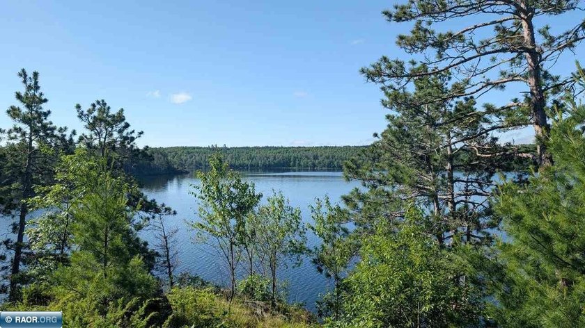 Rare opportunity to own 45 acres of mostly high-ground, classic - photo 4