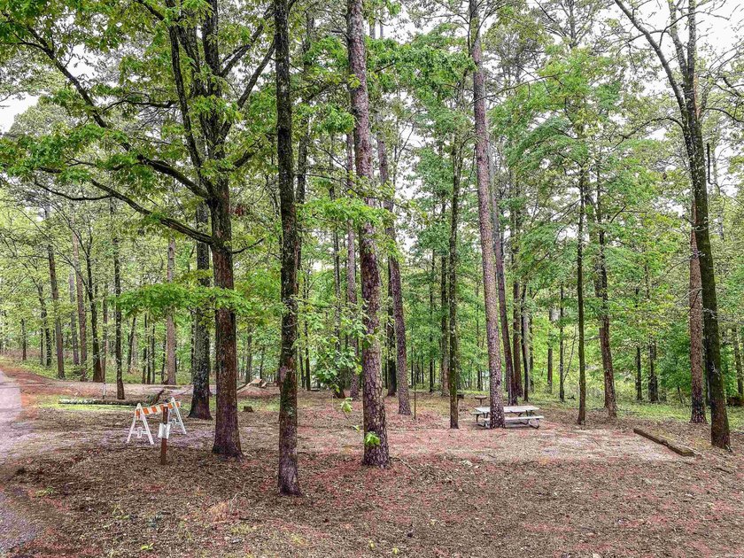 Escape to your own private retreat on this stunning 3.01-acre - photo 20