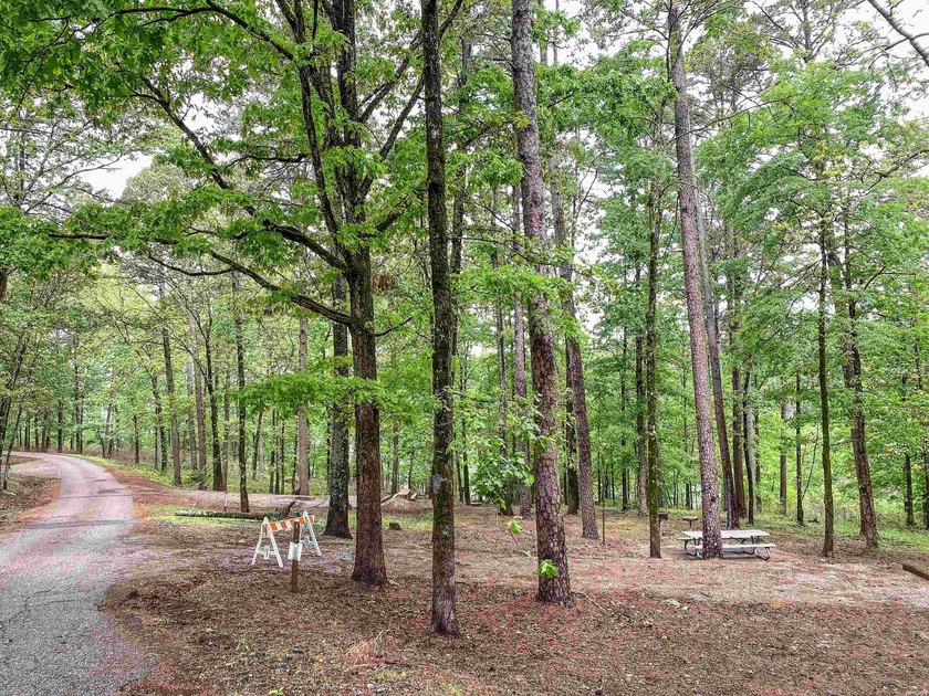 Escape to your own private retreat on this stunning 3.01-acre - photo 22