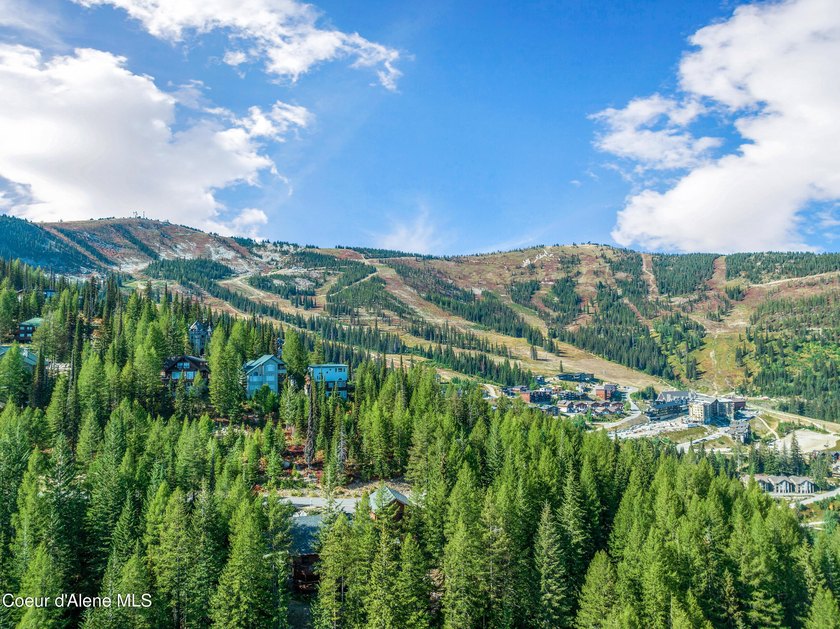 Welcome to Crystal View at Schweitzer! A truly unrivaled - photo 34