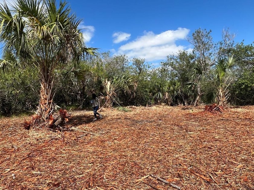 ***Highest and Best Offers ONLY*** This cleared vacant lot at - photo 3