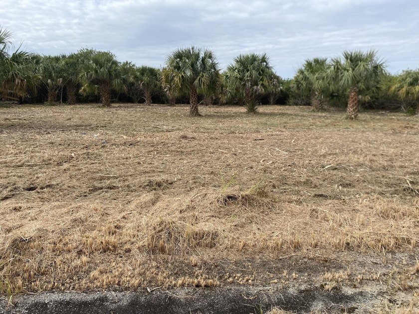 ***Highest and Best Offers ONLY*** This cleared vacant lot at - photo 5