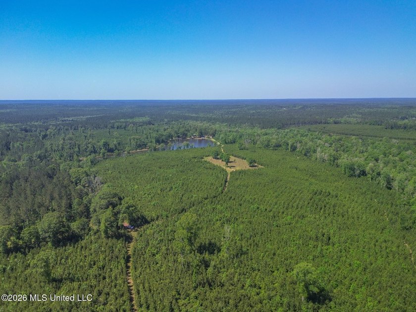 Tucked away among the rolling hills of South Mississippi, this - photo 3