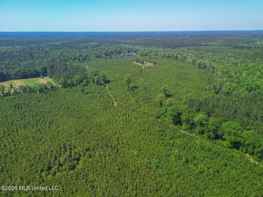 Tucked away among the rolling hills of South Mississippi, this - photo 4
