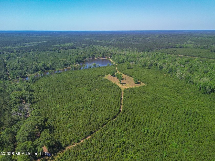 Tucked away among the rolling hills of South Mississippi, this - photo 6