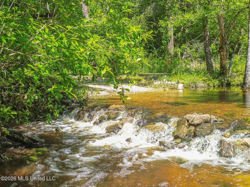 Tucked away among the rolling hills of South Mississippi, this - photo 8