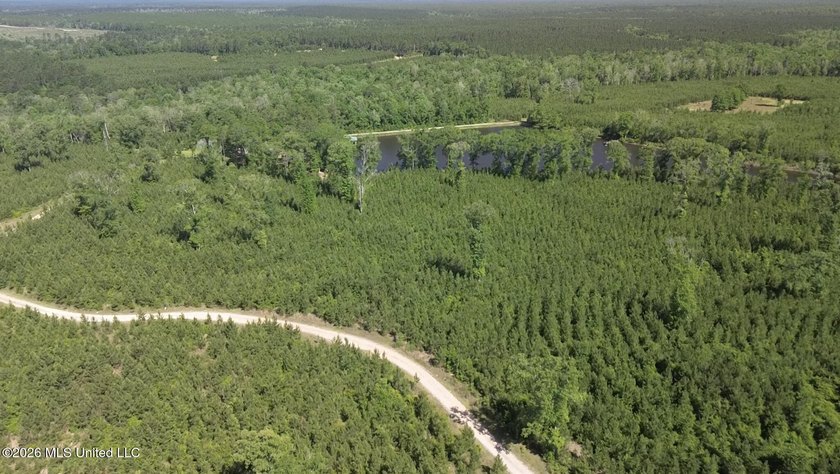 Tucked away among the rolling hills of South Mississippi, this - photo 10