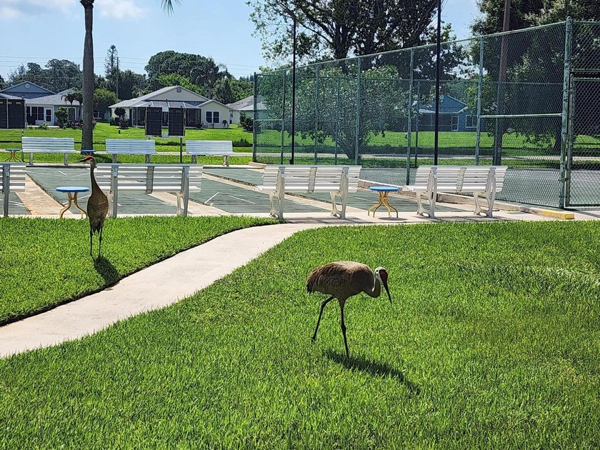Private Preserve Views in Palm Grove! Enjoy the perfect blend of - photo 22