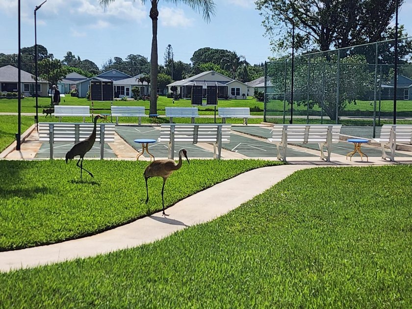 Private Preserve Views in Palm Grove! Enjoy the perfect blend of - photo 27