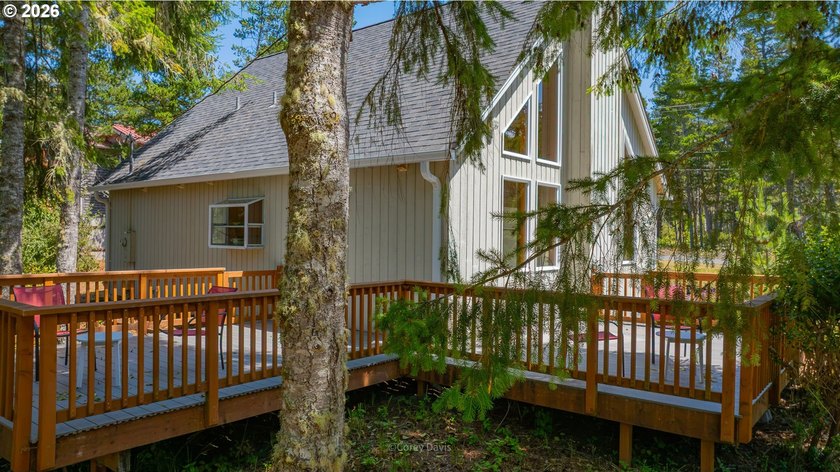 Sweet, bright and light beach cabin with wall of windows facing - photo 2