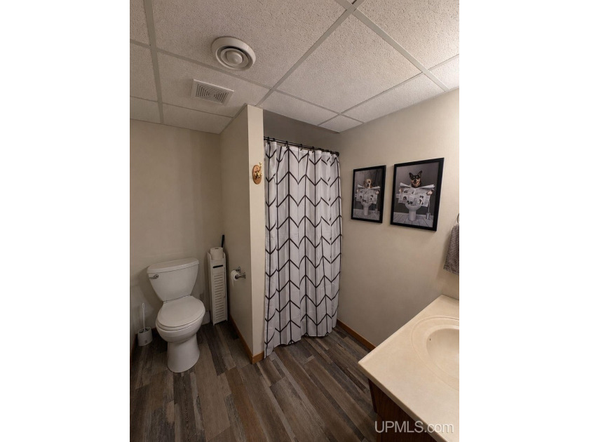Welcome home to this beautifully maintained, move-in ready ranch - photo 14