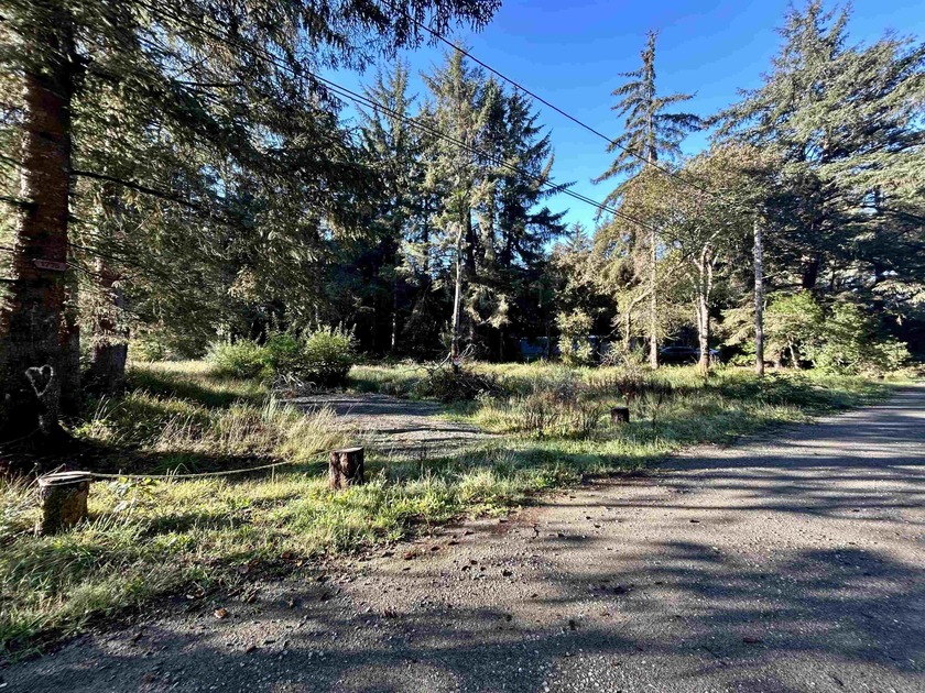 Beautiful wooded setting close to Pebble Beach Drive. This .64 - photo 3