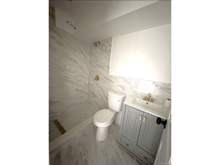 Experience modern luxury in this fully renovated two-family - photo 10