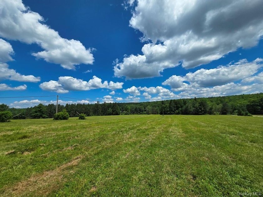 Here's your chance to own a landmark property with history - photo 25