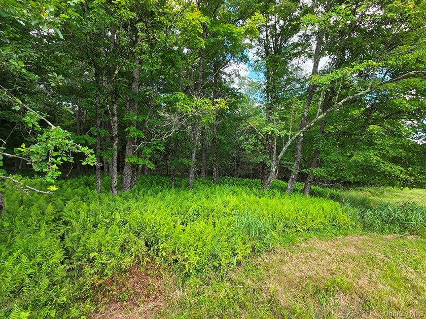 Here's your chance to own a landmark property with history - photo 28