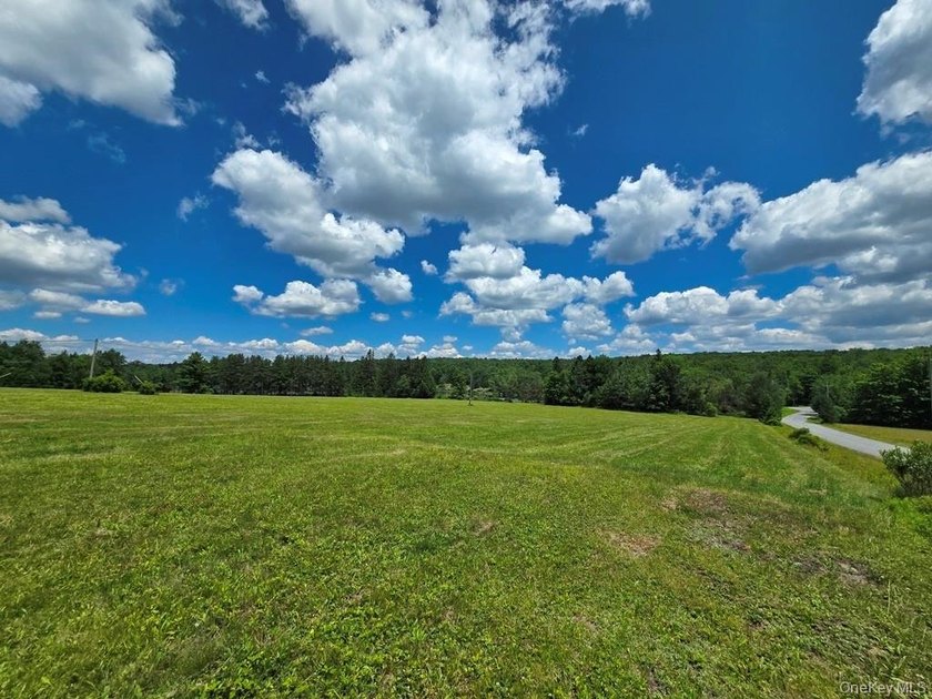 Here's your chance to own a landmark property with history - photo 38