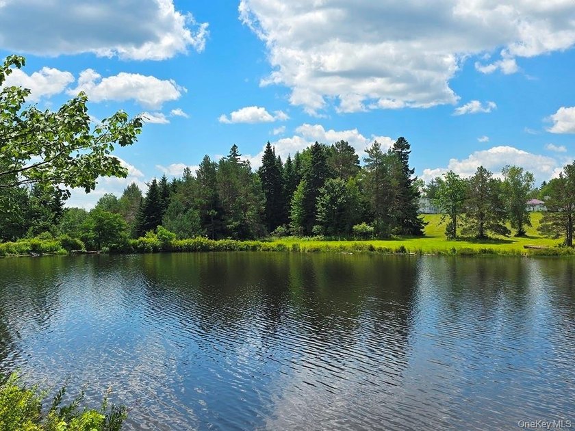 Here's your chance to own a landmark property with history - photo 43