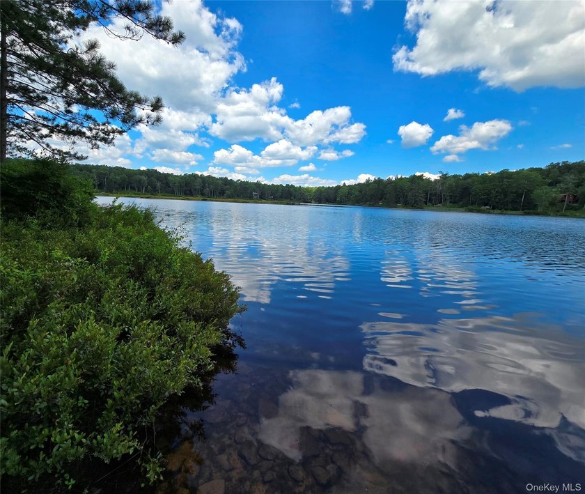 Here's your chance to own a landmark property with history - photo 45