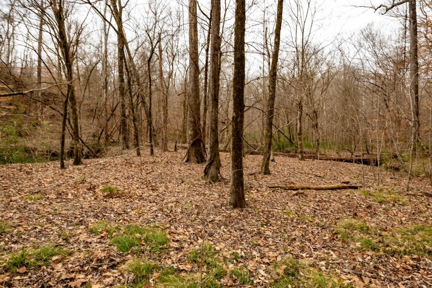 Nestled in the rolling hills of Warren County, Mississippi, this - photo 11