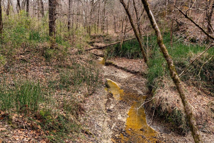 Nestled in the rolling hills of Warren County, Mississippi, this - photo 12