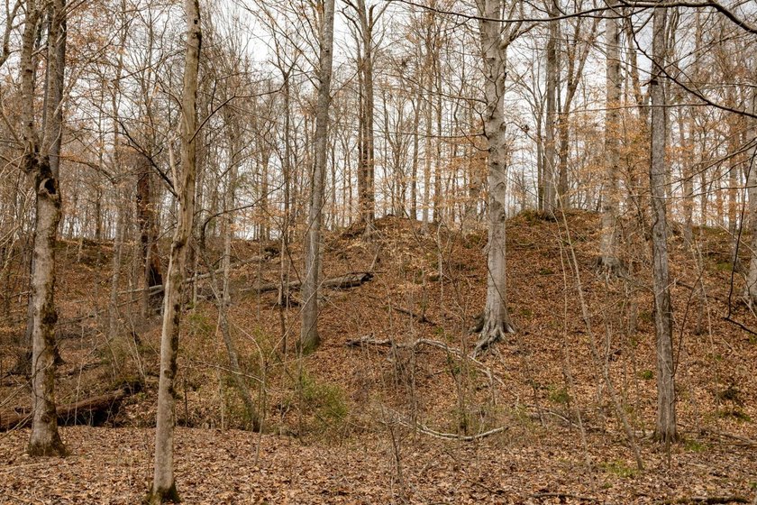 Nestled in the rolling hills of Warren County, Mississippi, this - photo 13