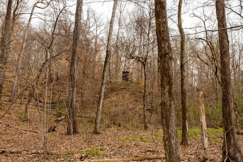 Nestled in the rolling hills of Warren County, Mississippi, this - photo 14