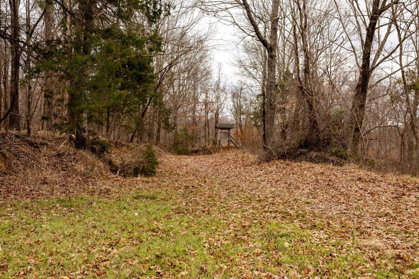 Nestled in the rolling hills of Warren County, Mississippi, this - photo 17