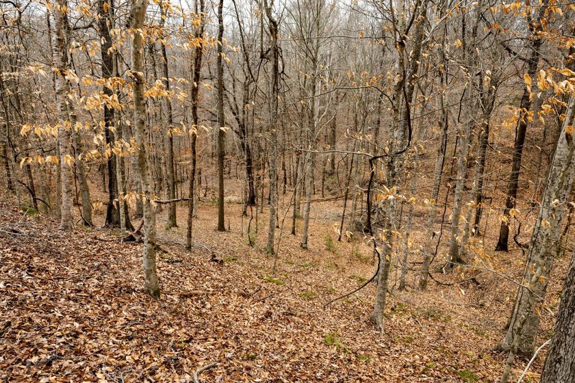 Nestled in the rolling hills of Warren County, Mississippi, this - photo 18