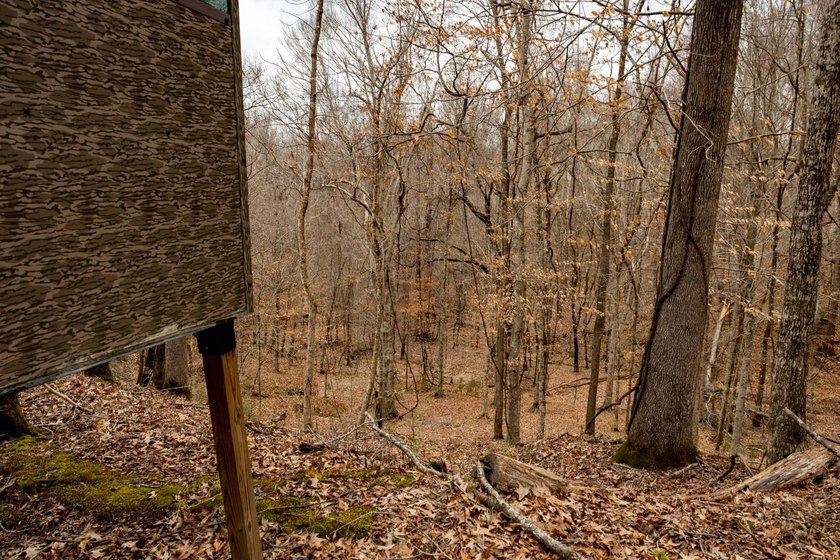 Nestled in the rolling hills of Warren County, Mississippi, this - photo 19