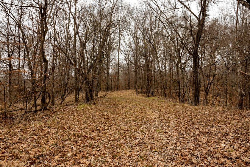Nestled in the rolling hills of Warren County, Mississippi, this - photo 20