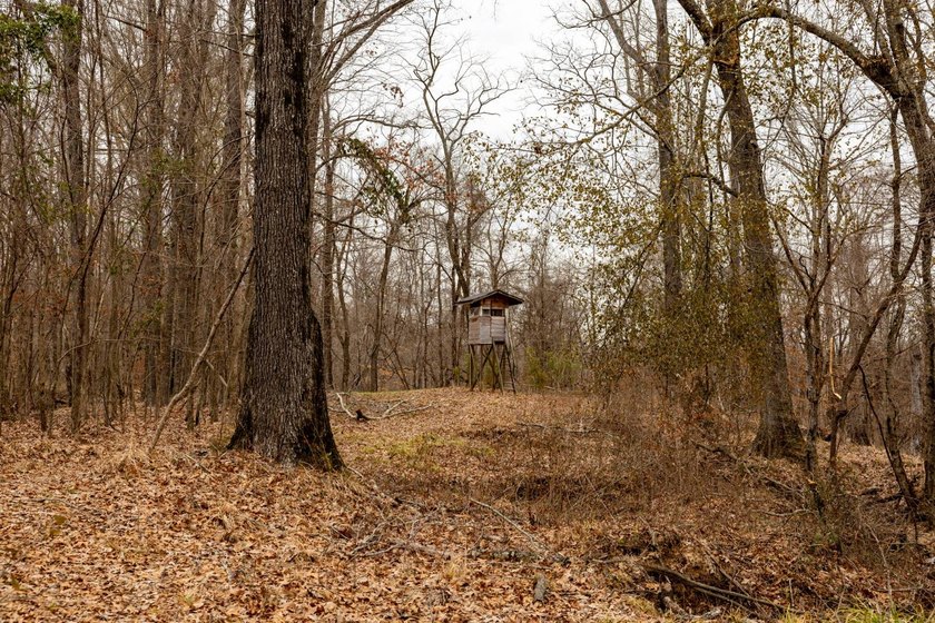 Nestled in the rolling hills of Warren County, Mississippi, this - photo 21