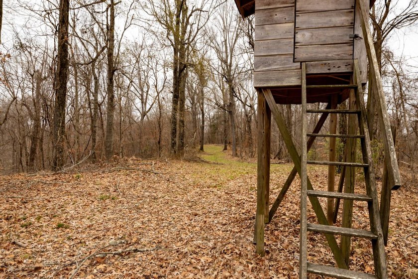 Nestled in the rolling hills of Warren County, Mississippi, this - photo 22