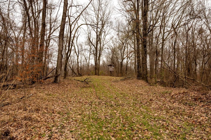 Nestled in the rolling hills of Warren County, Mississippi, this - photo 23
