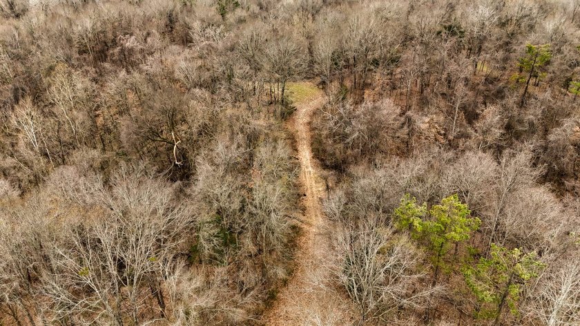 Nestled in the rolling hills of Warren County, Mississippi, this - photo 26