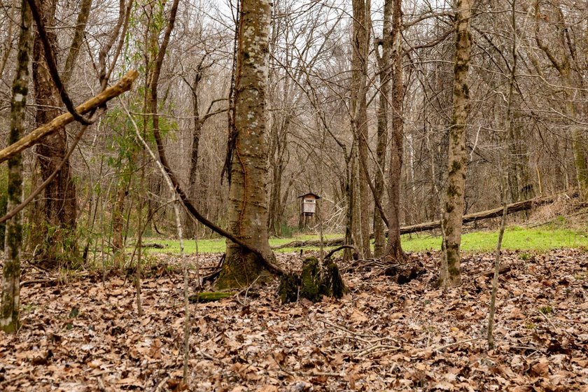 Nestled in the rolling hills of Warren County, Mississippi, this - photo 27