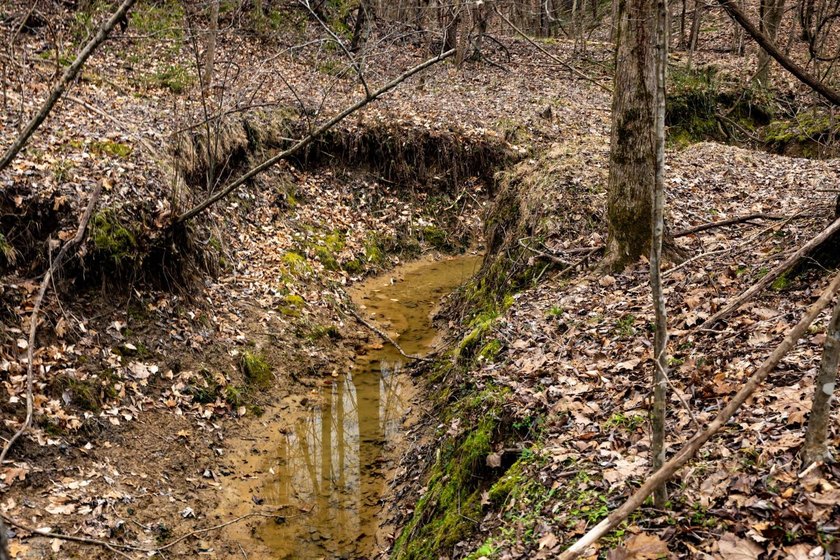 Nestled in the rolling hills of Warren County, Mississippi, this - photo 28
