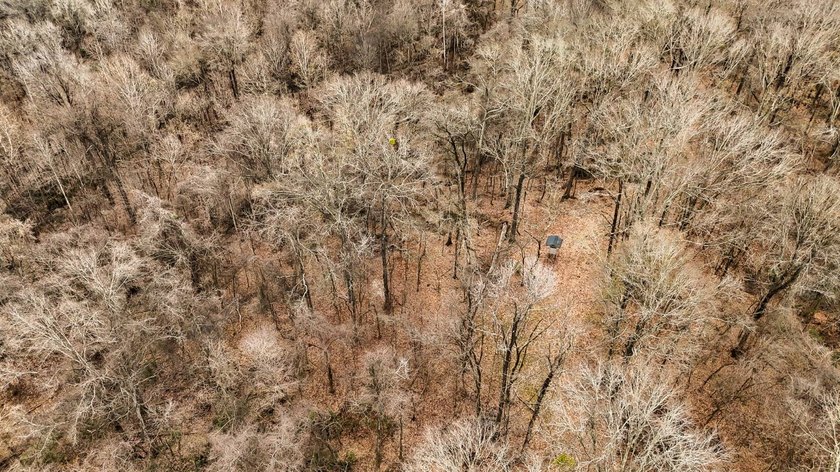 Nestled in the rolling hills of Warren County, Mississippi, this - photo 30