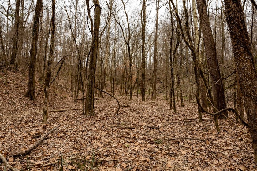 Nestled in the rolling hills of Warren County, Mississippi, this - photo 35