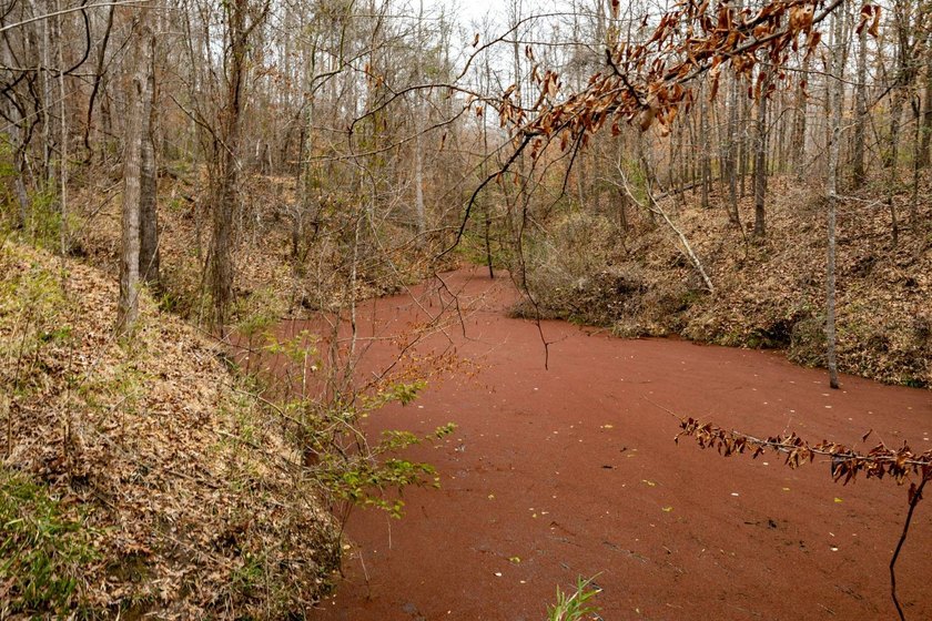 Nestled in the rolling hills of Warren County, Mississippi, this - photo 37