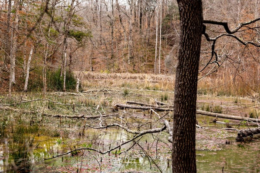 Nestled in the rolling hills of Warren County, Mississippi, this - photo 38
