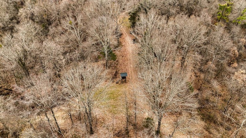 Nestled in the rolling hills of Warren County, Mississippi, this - photo 47